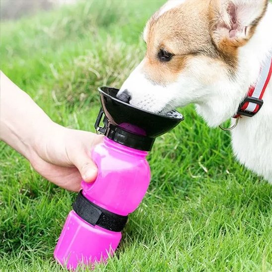 Gourde pour chien​ chien s'abreuvant avec la gourde rose dans un parc