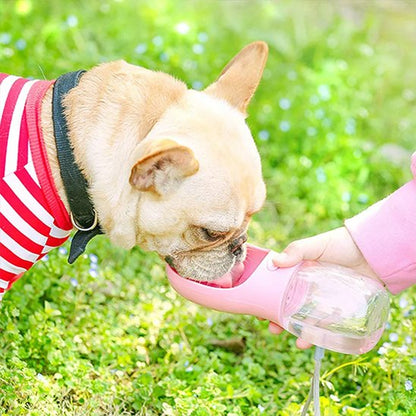 Gourde pour chien chiwawa s'abreuvant dans sa gourde rose