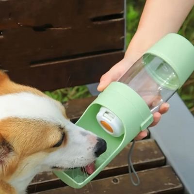 Gourde pour Chien petit gorky buvant dans sa gourde verte