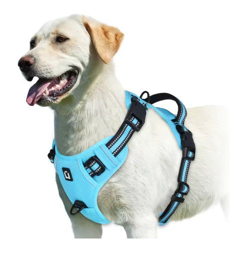 Harnais chien bleu