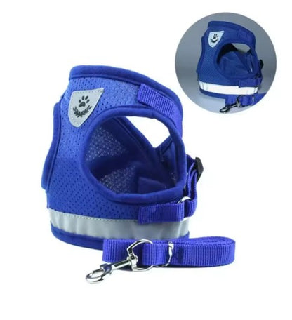 Harnais chien grand harnais bleu