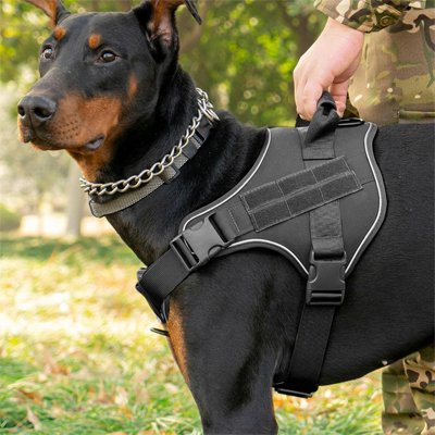 Harnais chien rottweiler montrant son harnais noir
