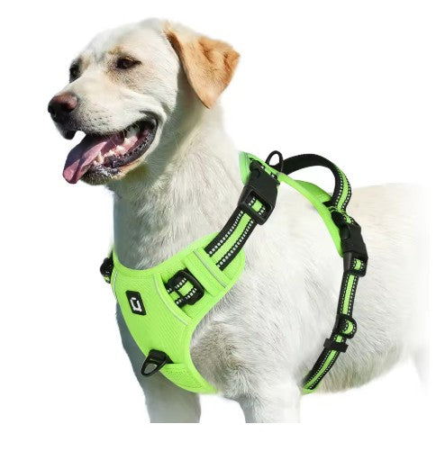 Harnais chien vert