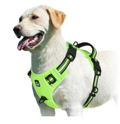 Harnais chien vert