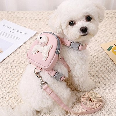 Harnais pour chien  bichon avec son harnais rose 