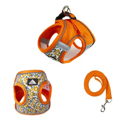 Harnais pour Chien grand orange