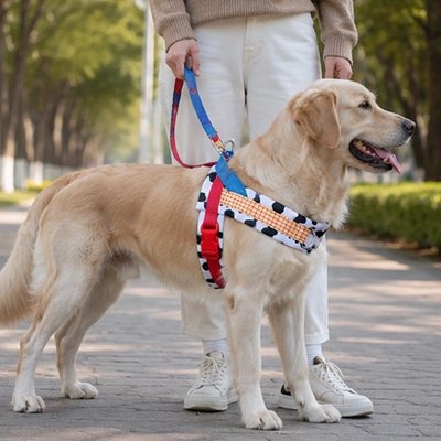 Harnais pour Chien labrador avec son harnais coloré en balade au centre ville