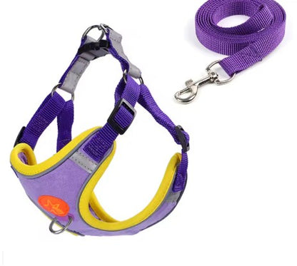 Harnais pour Chien moyen violet