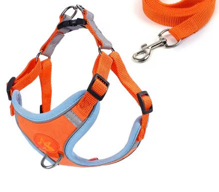 Harnais pour Chien petit orange