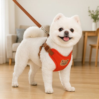Harnais pour petit Chien petit chien blans portant son harnais rouge durant sa promenade