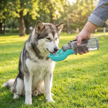 gourde pour chien | Portable 800ml