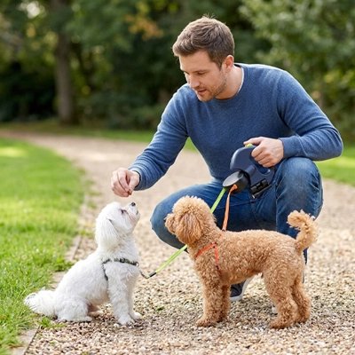 Laisse double pour Chien homme avec ses deux chiens en laisse 