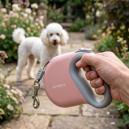 Laisse enrouleur chien bichon maltais et sa laisse retractable rose