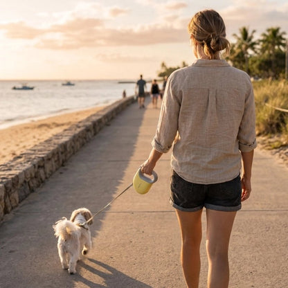 Laisse enrouleur chien femme se promenant sur la plage avec son shih tzu et la laisse retractable jaune