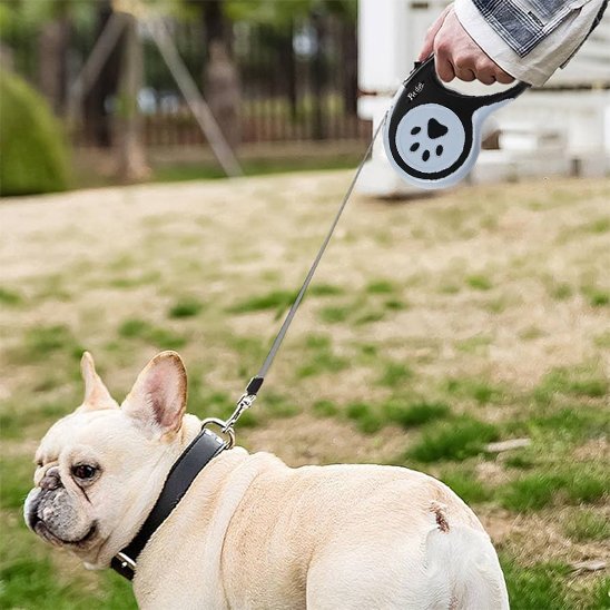 Laisse pour chien Bulldog en promenade avec son maitre