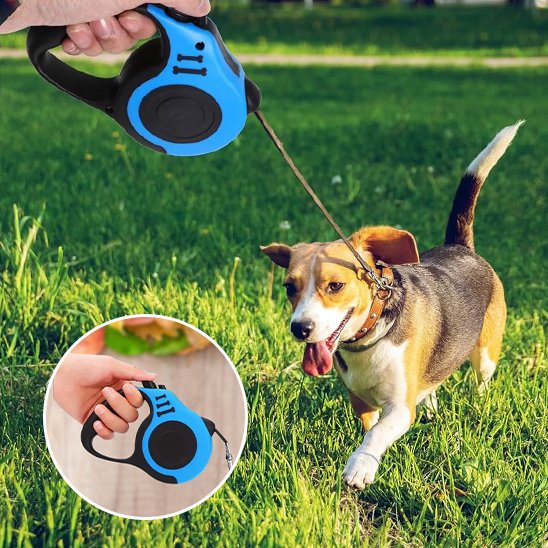 Laisse pour chien chien heureux de se promener avec sa laisse retractable
