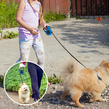Laisse pour chien demonstration de extenbiliter de la laisse 