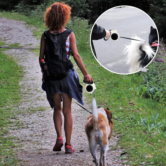 Laisse pour chien démonstration de la laaisse auto eclairante blanche