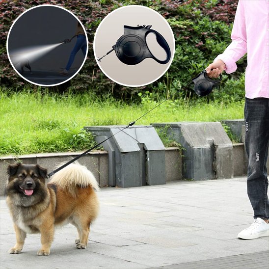Laisse pour chien démonstration de la laisse noir