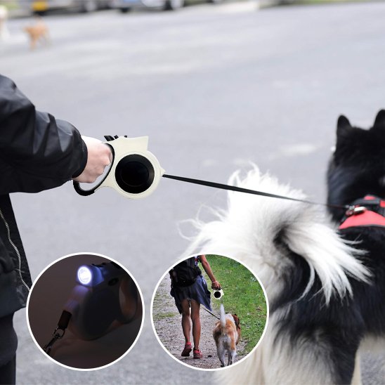 Laisse pour chien démonstration de la longueur de la laisse