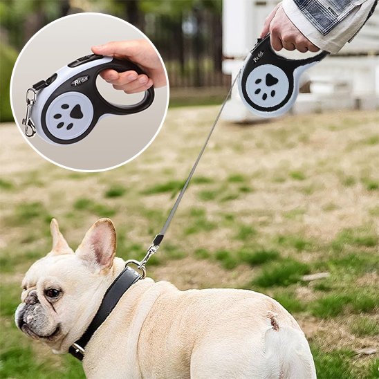 Laisse pour chien démonstration des grandeur de laisse 