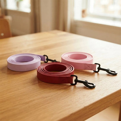 Laisse pour Chien démonstration des trois laisse rose violet et rouge