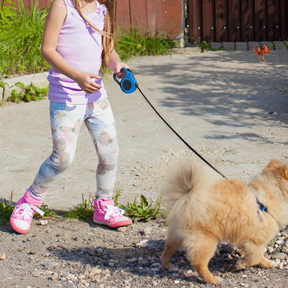 Laisse pour chien enfant se promene avec son chien en laisse 