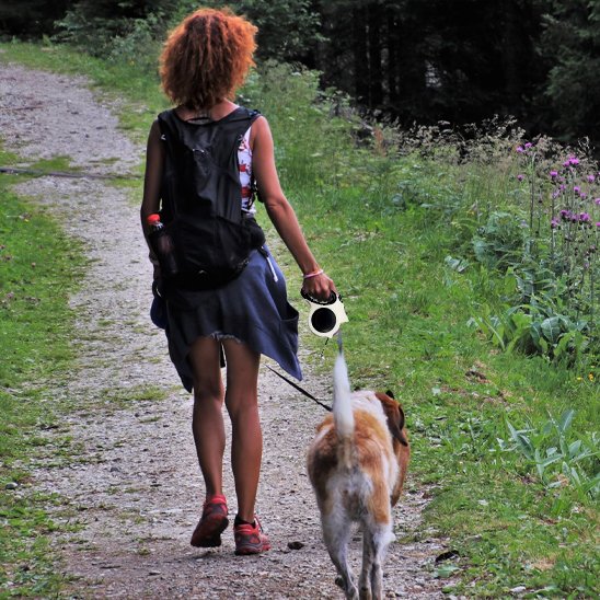 Laisse pour chien femme en promenade avec son chien et  laisse retractable