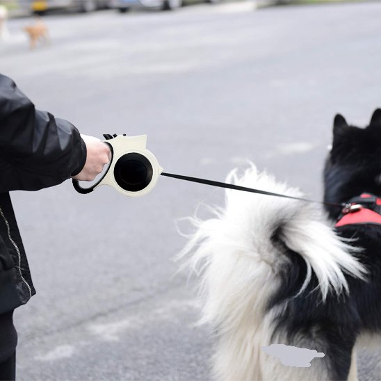 Laisse pour chien femme se promenant avec son chien en laisse 