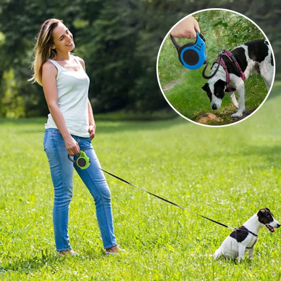 Laisse pour chien femme tenant son chien en laisse retractable