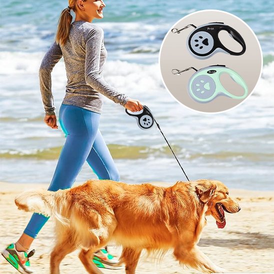 Laisse pour chien golden retriver en promenade sur la plage avec sa maitresse