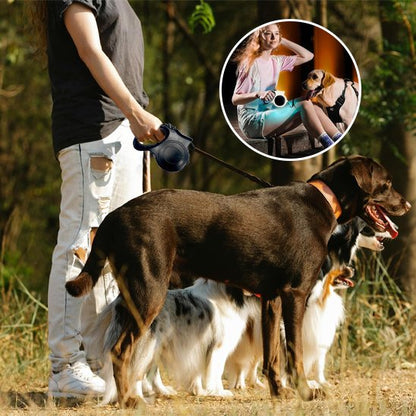 Laisse pour chien grand chien en promenade