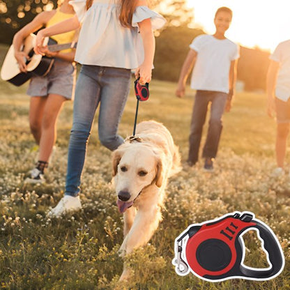 Laisse pour chien grand labrador se promenant avec la laisse 