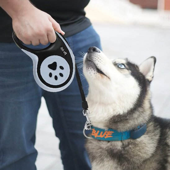 Laisse pour chien maitre montrant la laisse grise  de son chien 