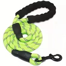Laisse pour Chien | Résistante et Confortable