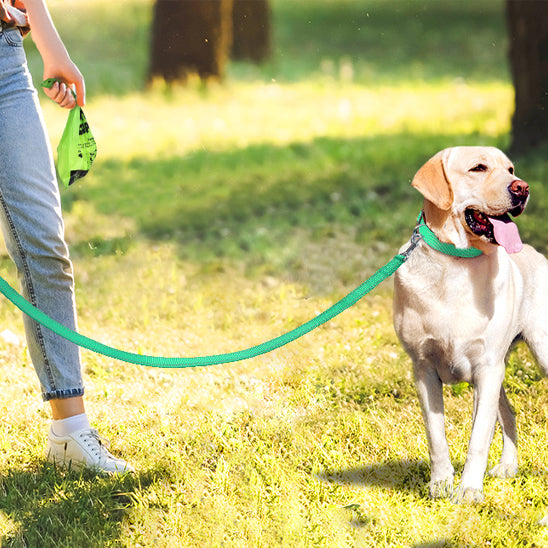 laisse_longue_pour_promenade_a_votre_aise_chien