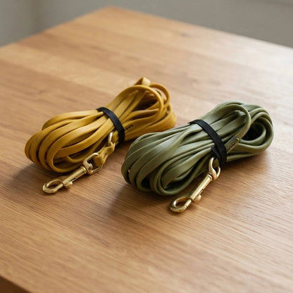 Longe pour Chien démonstration des couleur de longe jaune et vert