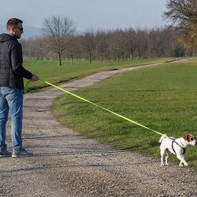 Longe pour Chien homme dans un sentier et la longe verte
