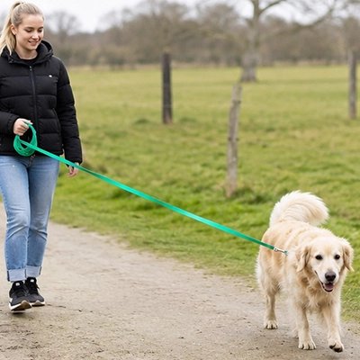 Longe pour Chien jeune femme et son golden retriver en promenade avec une longe verte