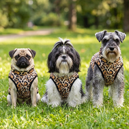 Manteau pour Chien démonstration des grandeur de manteau sur un pog ,un shih tzu et schnauzer