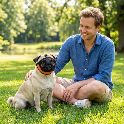 Muselière pour chien​ pog assis dans un parc avec son maitre et sa muselière