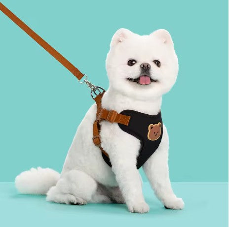 Harnais pour petit Chien | Anti-Traction Confort