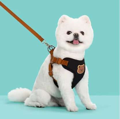 Harnais pour petit Chien | Anti-Traction Confort