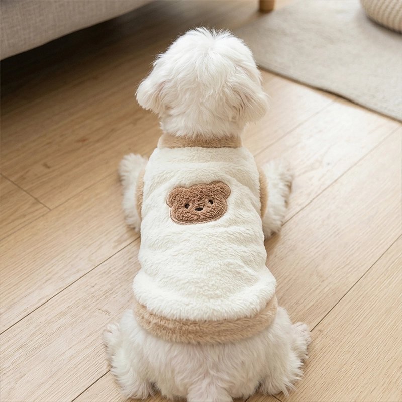 Pull pour Chien démonstration du pull de dos sur un bichon