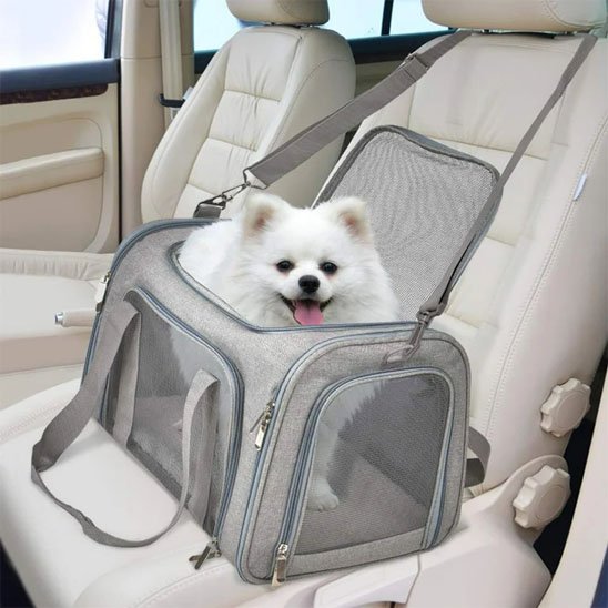 sac de transport chien grand sac de tranport en voiture avec un pomarenien
