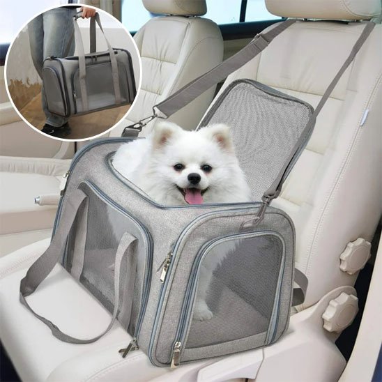 sac de transport chien moyen dans une voiture avec un pomarenien