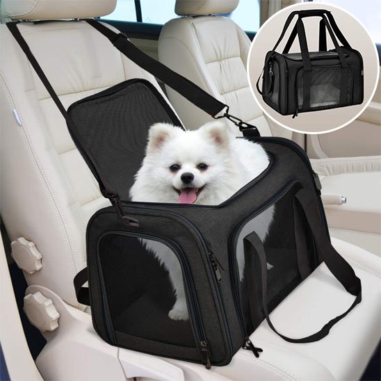 sac de transport chien  pomarinien assis dans son sac de transport en voiture