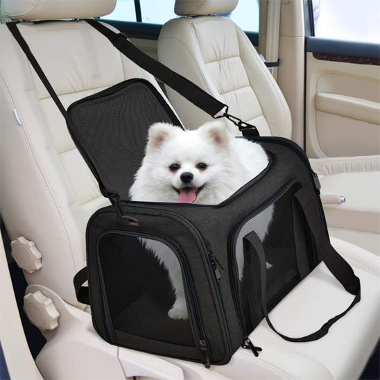 sac de transport chien sac noir de transport avec un pomarenien assis en voiture